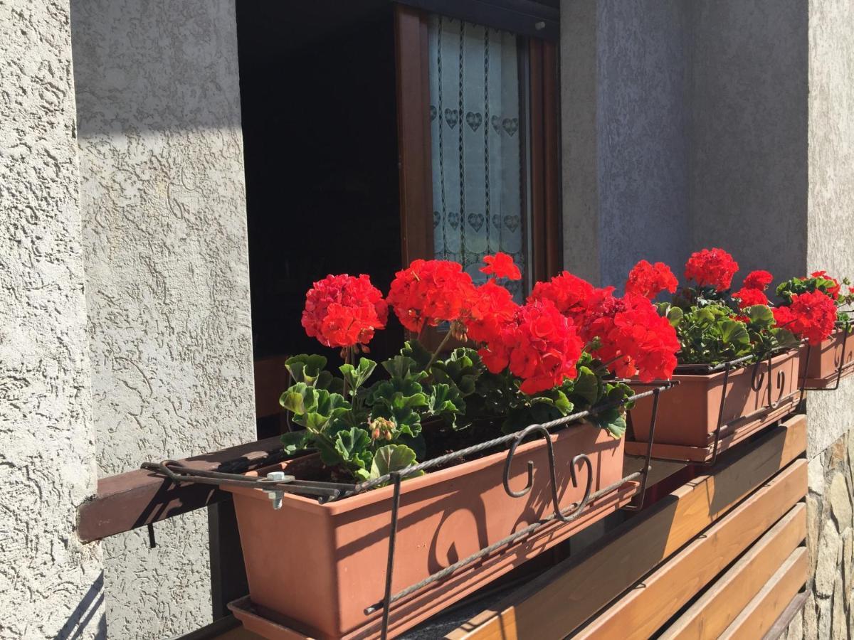 Residenza In Zona Pontedilegno T02034 Villa Villa d'Allegno ภายนอก รูปภาพ